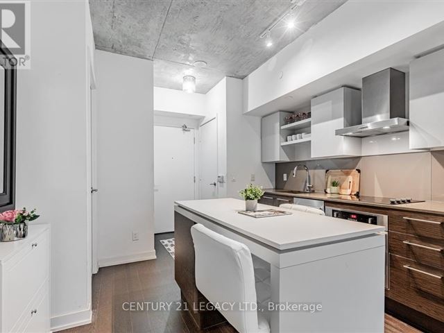 DNA3 - 308 1030 King Street West - photo 3