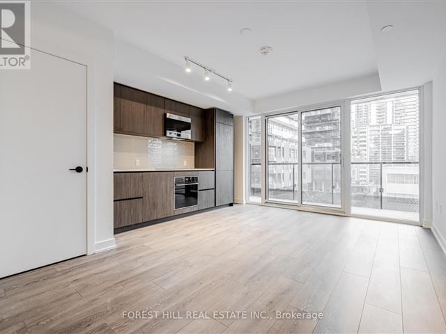 Line 5 South Condos - 410n 117 Broadway Avenue - photo 2