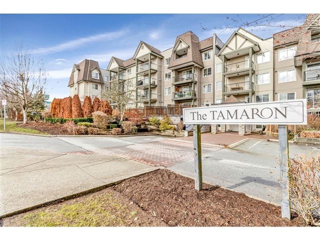 Tamaron - 207 12083 92a Avenue - photo 1