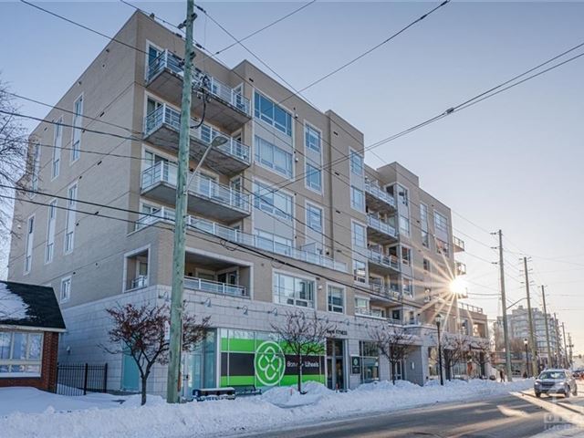 Piccadilly - 303 1422 Wellington Street West - photo 2