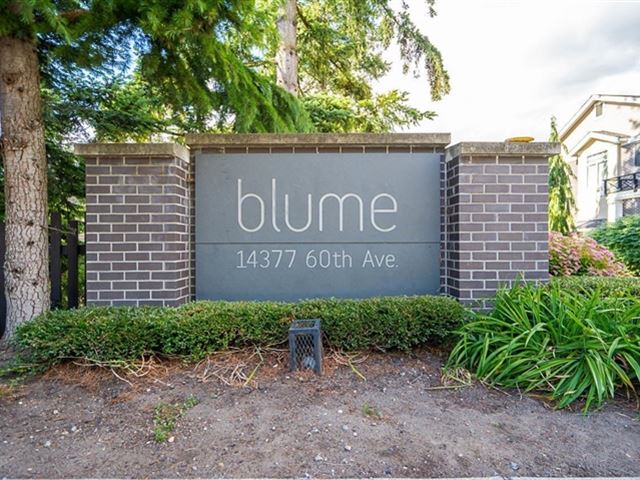 Blume - 29 14377 60 Avenue - photo 1