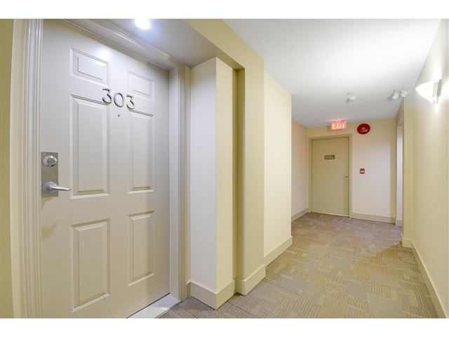 Boulevard Club - 303 15220 Guildford Drive - photo 3