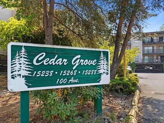 Cedar Grove - 304 15268 100 Avenue - photo 1