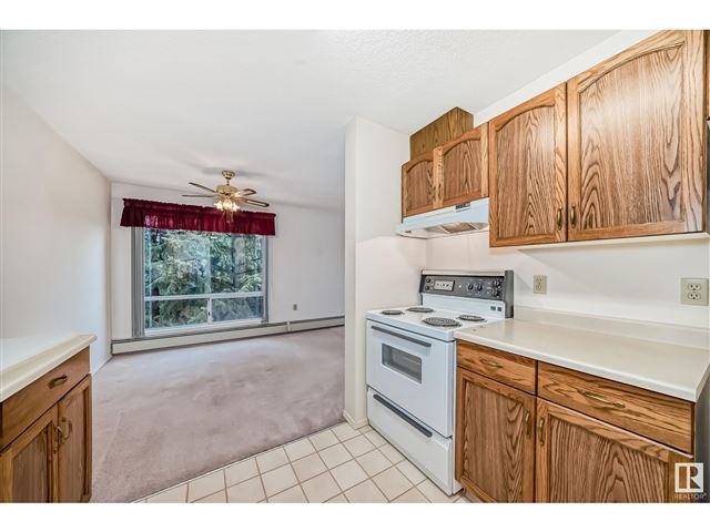 15503 106 ST NW - 316 15503 106 Street Northwest - photo 3