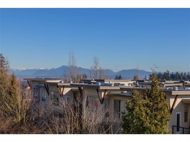 The Summit at Morgan Crossing - 221 15850 26 Avenue - photo 3