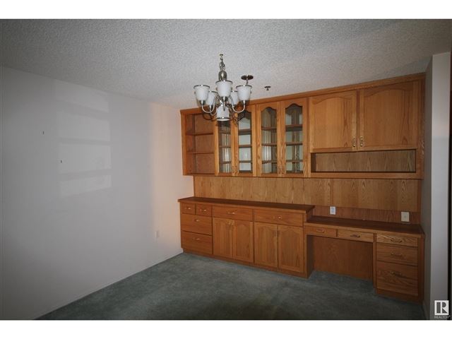 17519 98a AVE NW - 103 17519 98a Avenue Northwest - photo 5