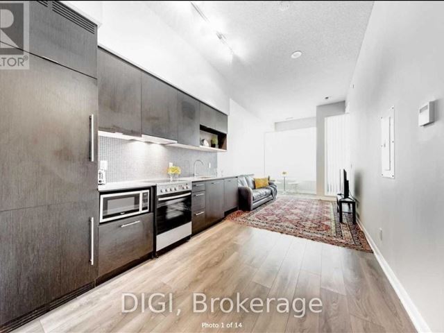 Fabrik Condos - 1205 435 Richmond Street West - photo 1